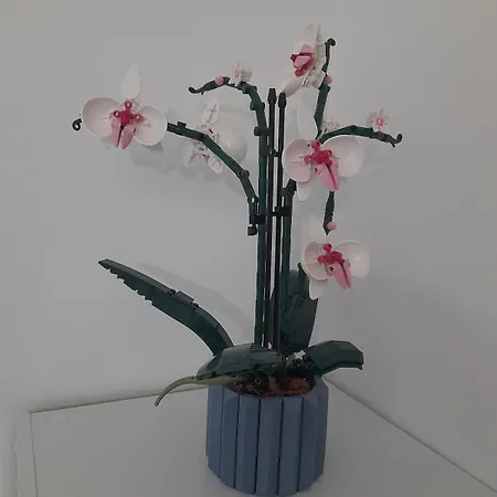 Cosy 15 M2 Au Fond Du Jardin *